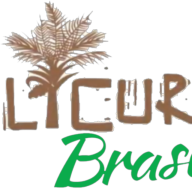 Logotipo da empresa LICURI BRASIL