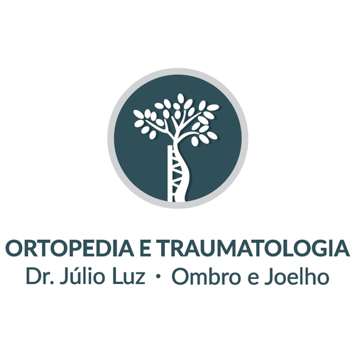 Logotipo da empresa JULIO LUZ