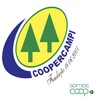 Logotipo da empresa COOPERCANDI