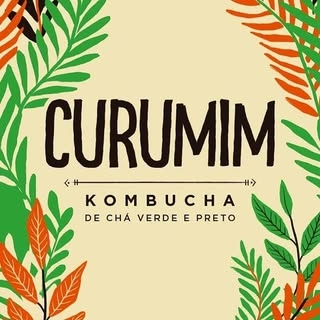 Logotipo da empresa CURUMIM