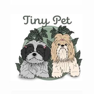 Logotipo da empresa PATAS E PELOS