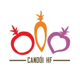 Logotipo da empresa CANDOI HF