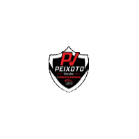 Logotipo da empresa PEIXOTO VEICULOS