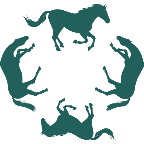 Logotipo da empresa CASA FAZENDA DO RIO