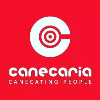 Logotipo da empresa ZLX CANECARIA LTDA