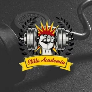 Logotipo da empresa STILLO ACADEMIA