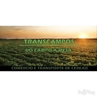 Logotipo da empresa TRANSCAMPOS