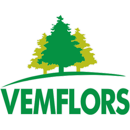 Logotipo da empresa VEMFLORS
