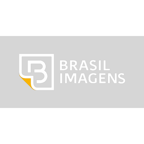 Logotipo da empresa BRASIL IMAGENS FOTOGRAFIAS