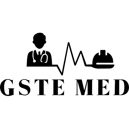 Logotipo da empresa GSTE