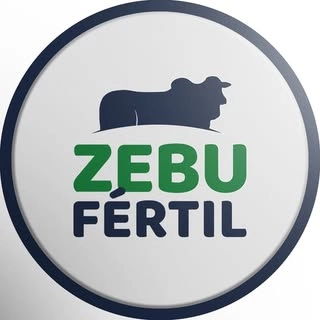 Logotipo da empresa TOP FERTILIDADE LTDA