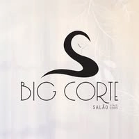 Logotipo da empresa SALAO BIG CORTE