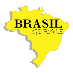 Logotipo da empresa BRASIL GERAIS