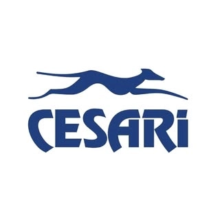 Logotipo da empresa CEGROUP