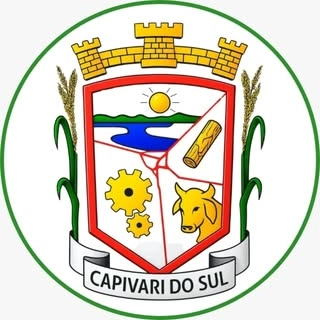 Logotipo da empresa FUNDO DA CRIANA E ADOLESCENTE