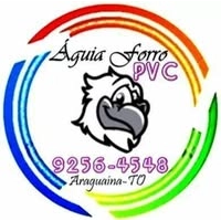 Logotipo da empresa AGUIA MIX BRASIL (RDC)