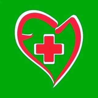 Logotipo da empresa FARMACIA JESUS