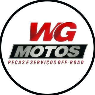 Logotipo da empresa WGTRANPORTES E MOTOS