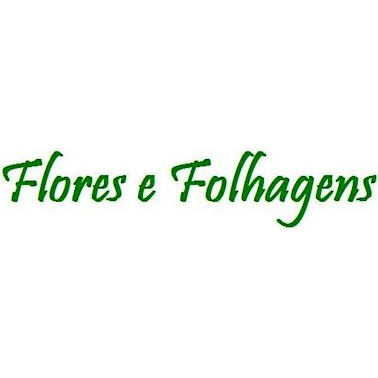 Logotipo da empresa BROMELIAS