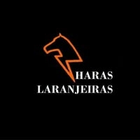 Logotipo da empresa DEPOSITO DE BEBIDAS LARANJEIRAS