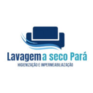 Logotipo da empresa LAVAGEM A SECO