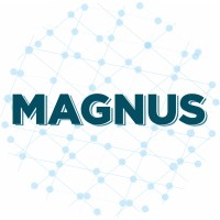 Logotipo da empresa MAGNUS SOLUTIONS LTDA