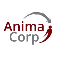 Logotipo da empresa ANIMACORP TECNOLOGIA