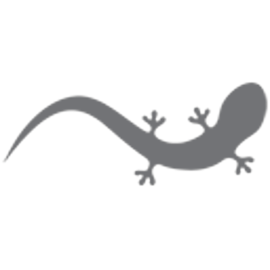 Logotipo da empresa JOAO SALAMONDE FOTOGRAFIAS