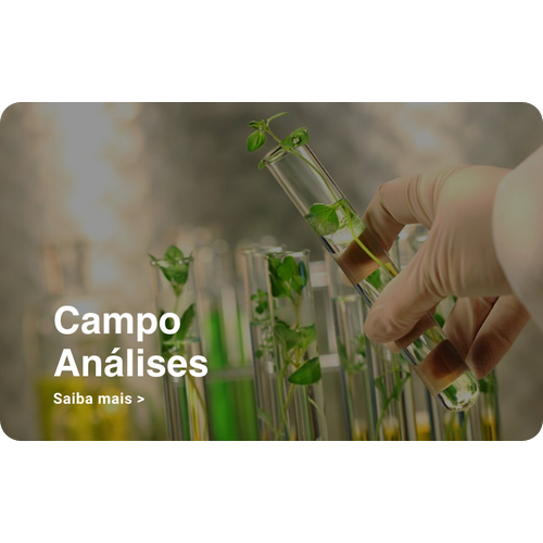 Logotipo da empresa CAMPO