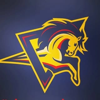 Logotipo da empresa HANKER LIVE MARKETING