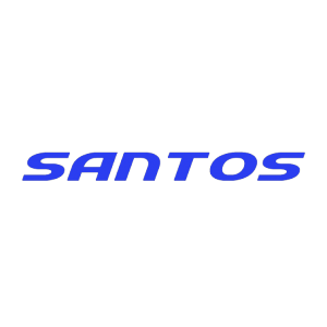 Logotipo da empresa EMPRESA SANTOS & FILHOS LTDA