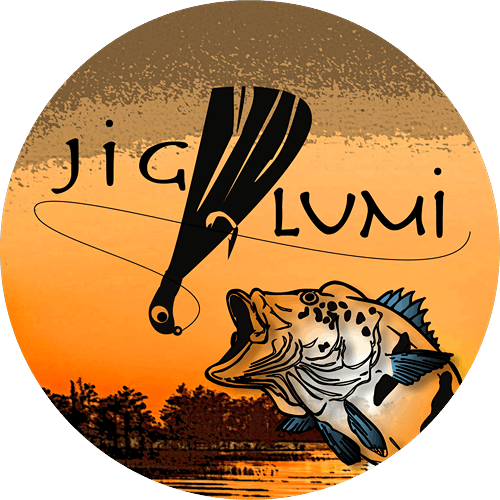 Logotipo da empresa LUIZ ROBERTO MINELI