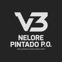 Logotipo da empresa PLENA CORRETORA DE SEGUROS