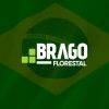 Logotipo da empresa BRAGO FLORESTAL