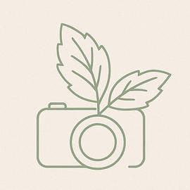 Logotipo da empresa REFLEXUS FOTO & VIDEO