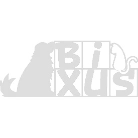 Logotipo da empresa BIXUS