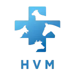 Logotipo da empresa HVM