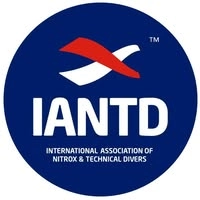 Logotipo da empresa IANTD USA