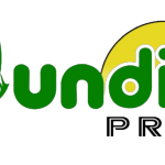 Logotipo da empresa JUNDIA-PREV