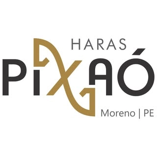 Logotipo da empresa ALCPAR