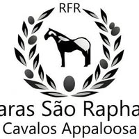 Logotipo da empresa RAPHAEL KOIKE