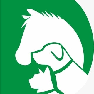 Logotipo da empresa DBM RACOES