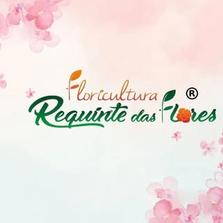 Logotipo da empresa FLORICULTURA REQUINTE DAS FLORES LTDA