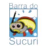 Logotipo da empresa BARRA DO SUCURI