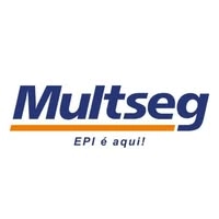Logotipo da empresa MULTSEG