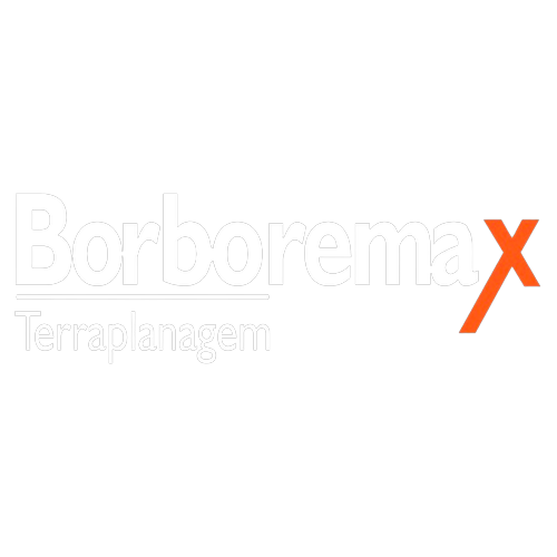 Logotipo da empresa BORBOREMAX