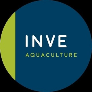 Logotipo da empresa INVE