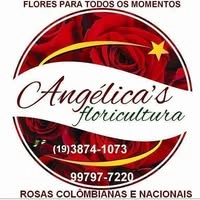 Logotipo da empresa ANGELICA S MULTIPRESENTES