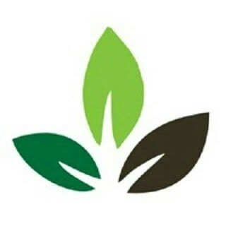 Logotipo da empresa CAMORIM AGRO