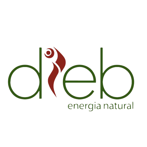 Logotipo da empresa GUARANA ARAPIUNS